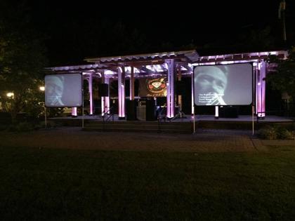 Diamond Rose Entertainment 